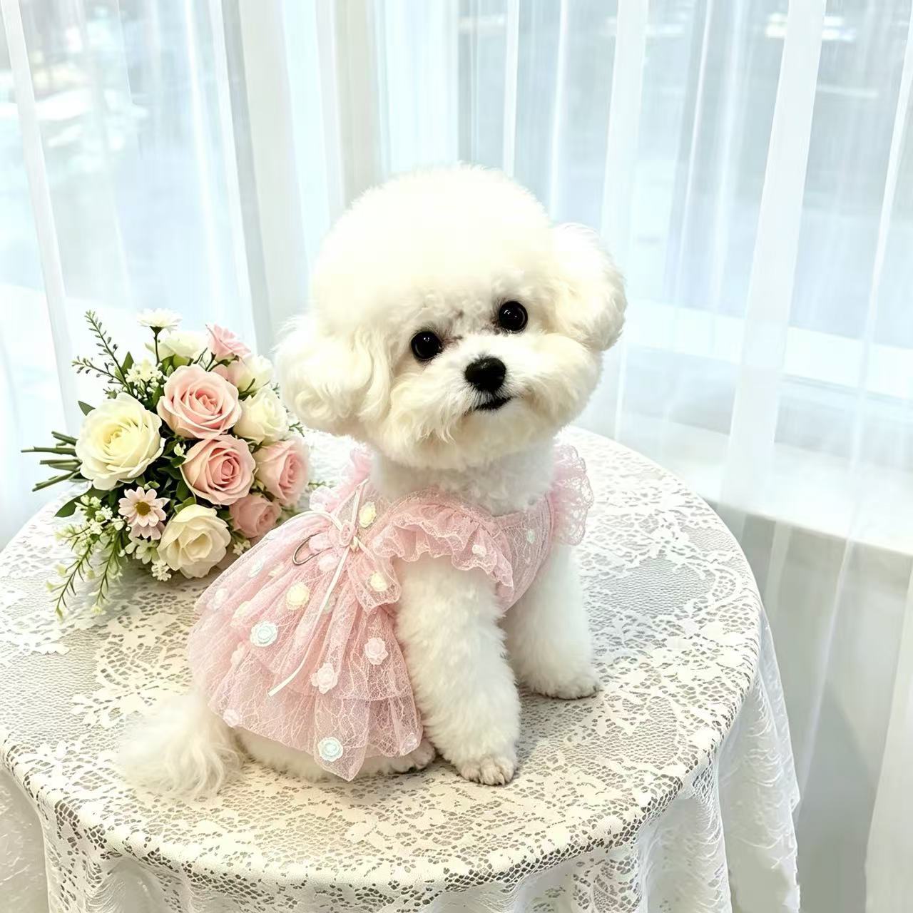 Summer Rose Clothing - Pet Spring & Summer Chiffon Princess