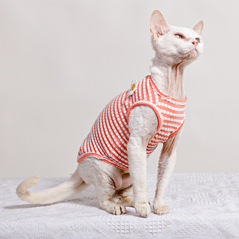 Summer T-Shirt for Sphynx Cat  - Soft Summer Yellow Clothing recension och pris