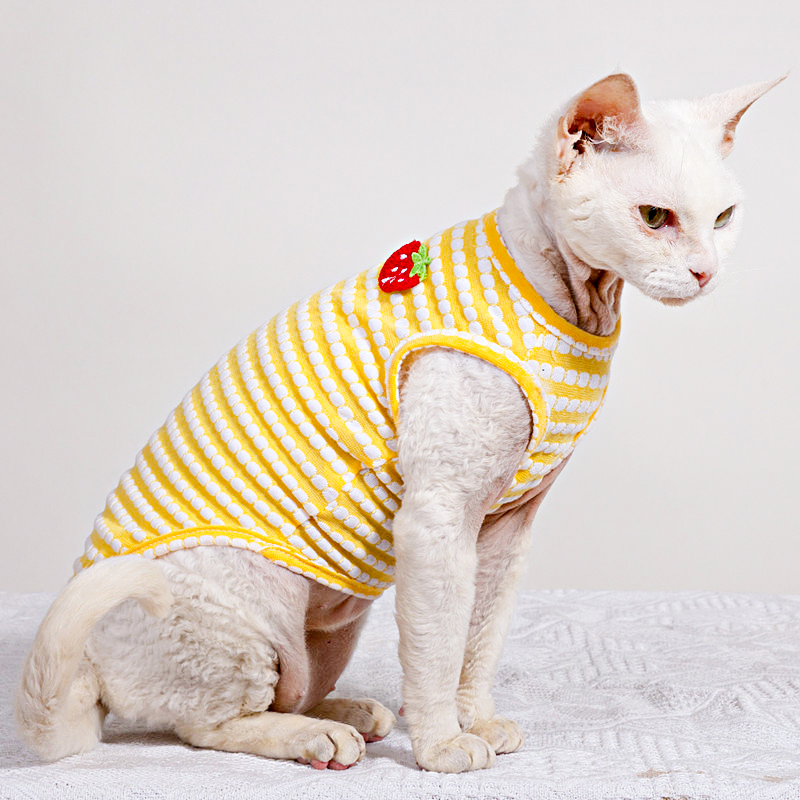 Summer T-Shirt for Sphynx Cat  - Soft Summer Yellow Clothing recension och pris
