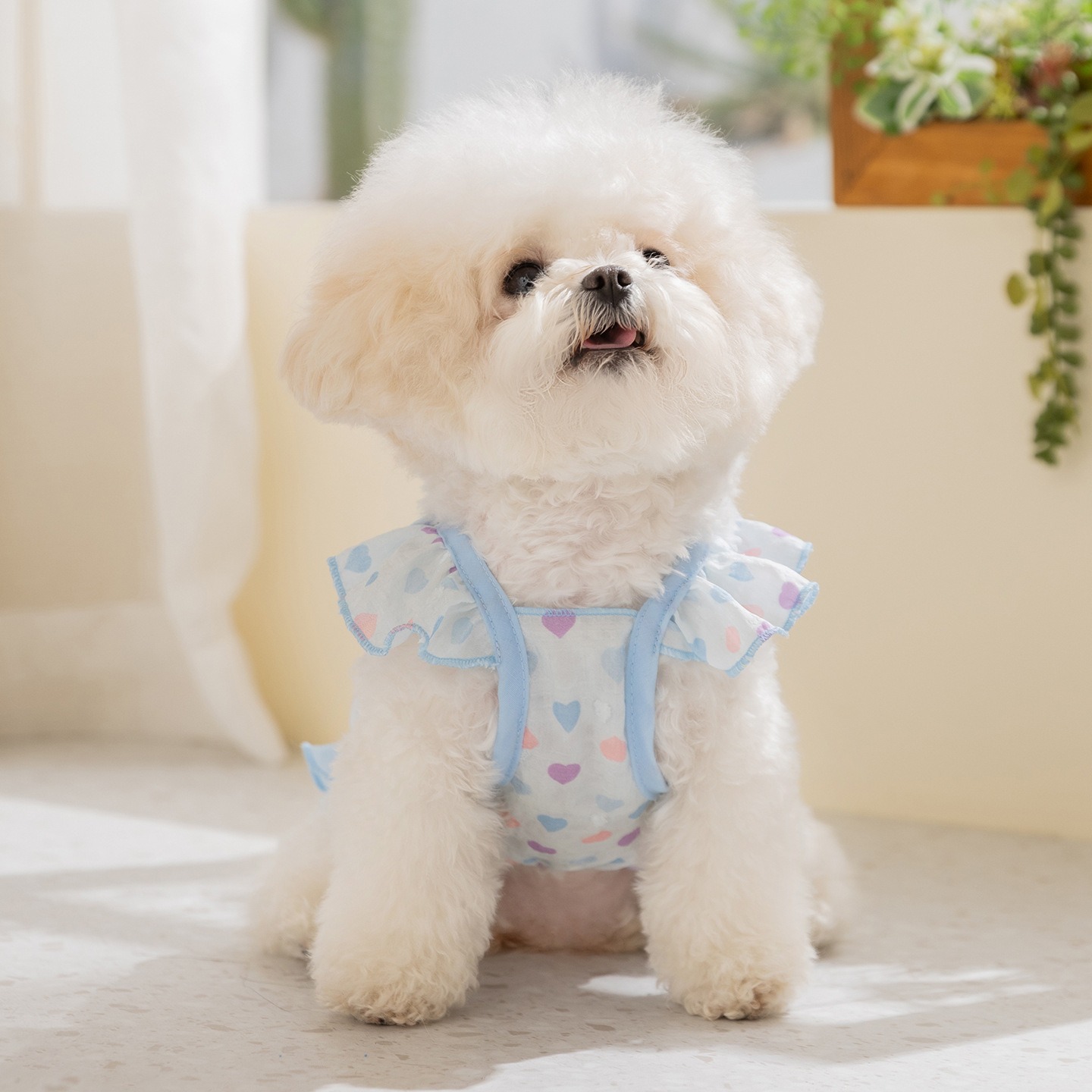 Yellow Love Dog Clothes Summer - Soft Summer Yellow Clothing recension och pris