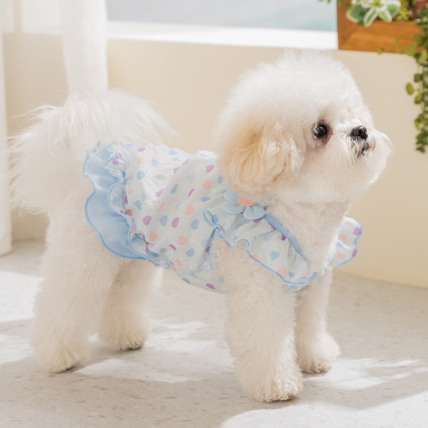 Yellow Love Dog Clothes Summer - Soft Summer Yellow Clothing recension och pris